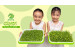 Microgreens Growing Guide...