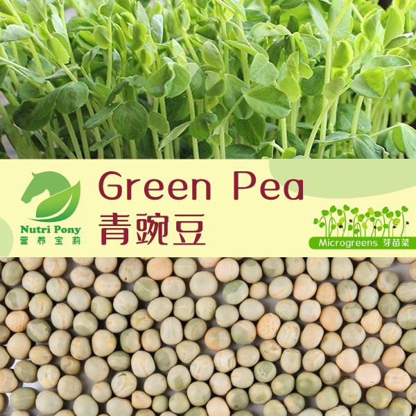 Green Pea Microgreens Seeds