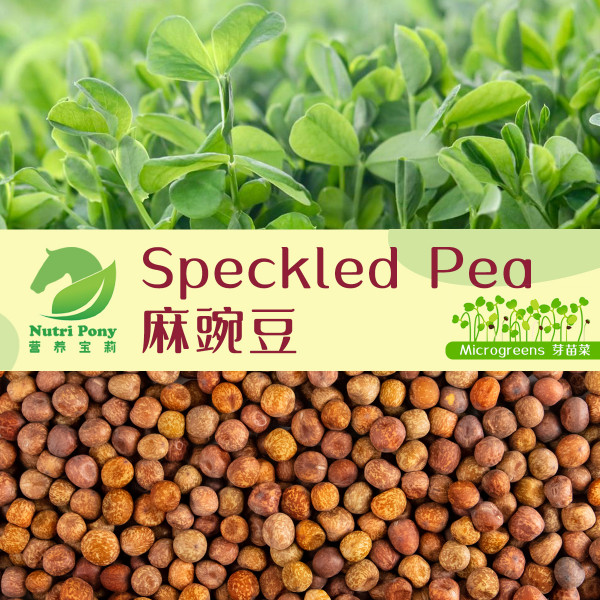 Speckled Pea Microgreens Seeds