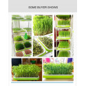 Double Layer Microgreens Hydroponic Seedling / Nursery Tray